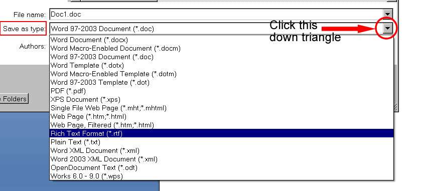 Save As Different File Type Window