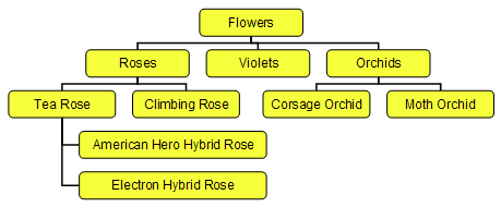 Taxonomy Diagram
