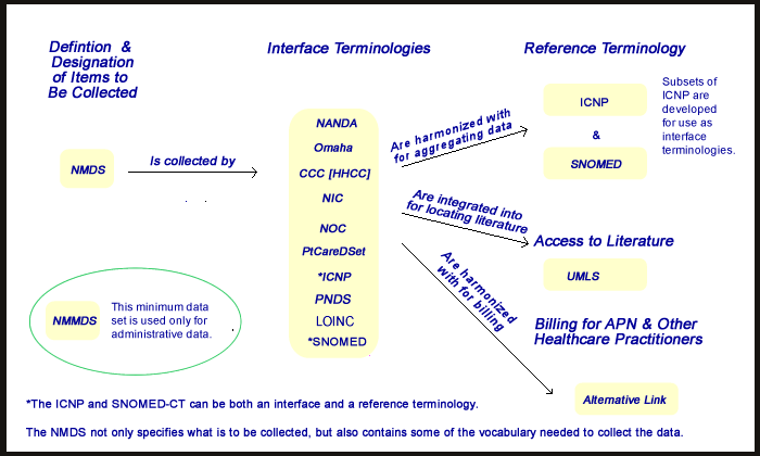 Terminology Relationships