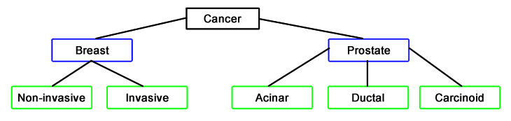 Multiaxial taxonomy